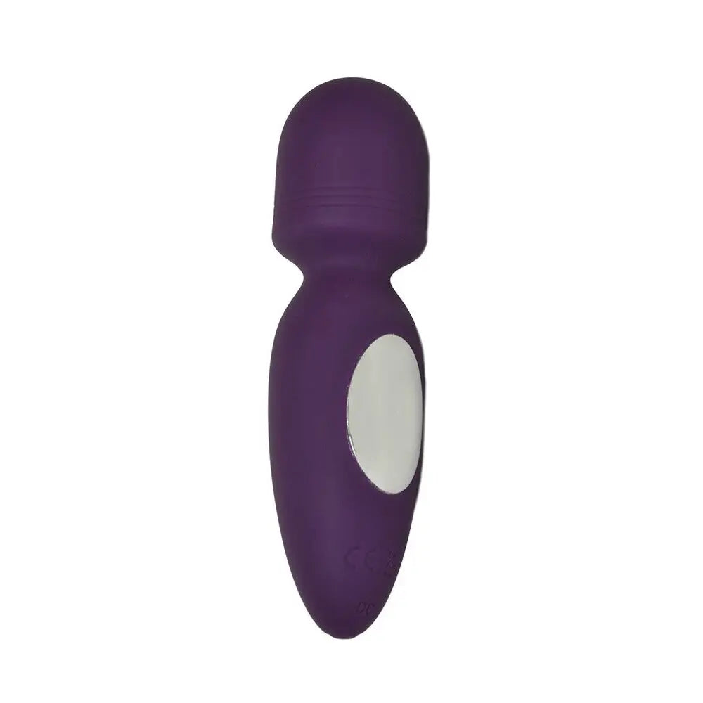 Rimba Silicone Purple Rechargeable Mini Wand Vibrator