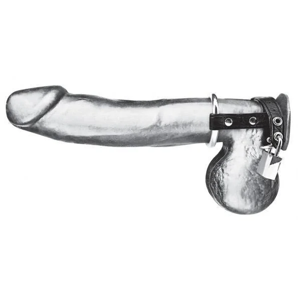 Duo Cock And Ball Lock Cock Ring by C&B Gear