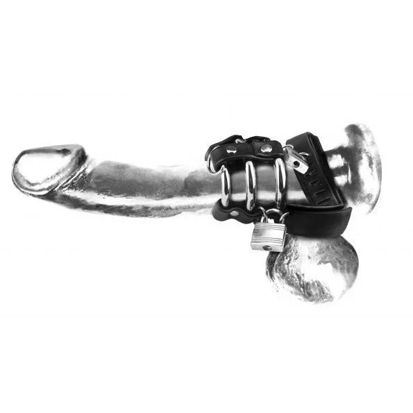 Long Ball Stretcher 3 Ring Chastity Cage by C&B Gear