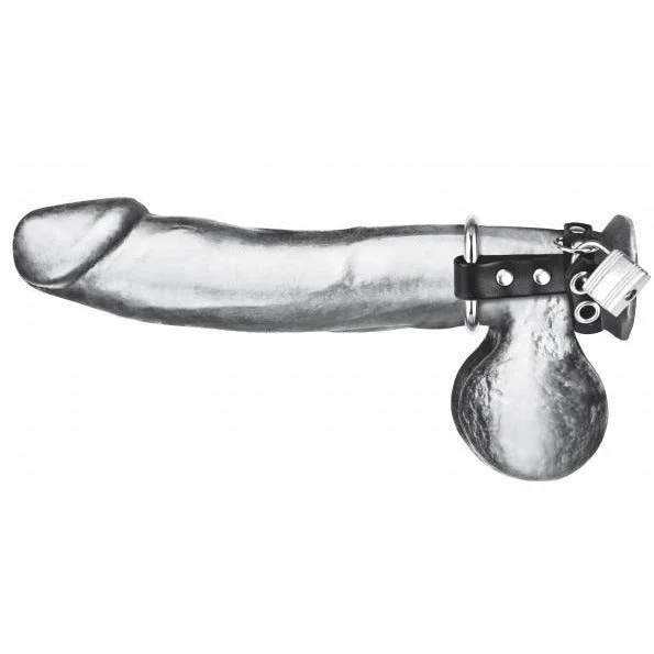 Metal Cock Ring With Locking Ball Strap Single by C&B Gear