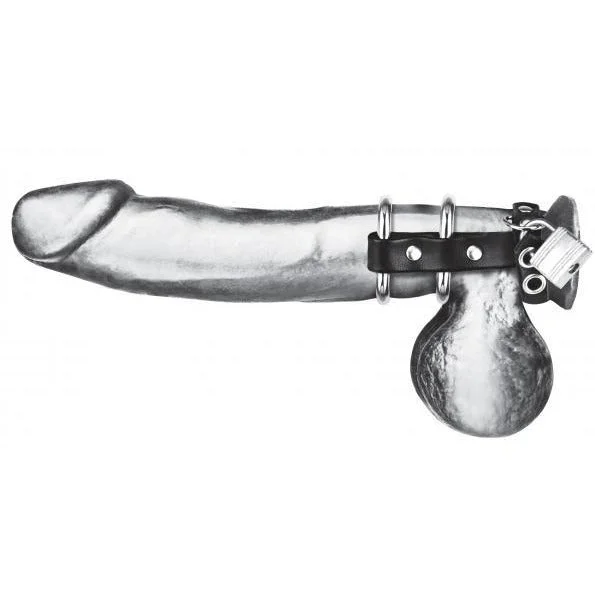 Metal Cock Ring With Locking Ball Strap Double by C&B Gear